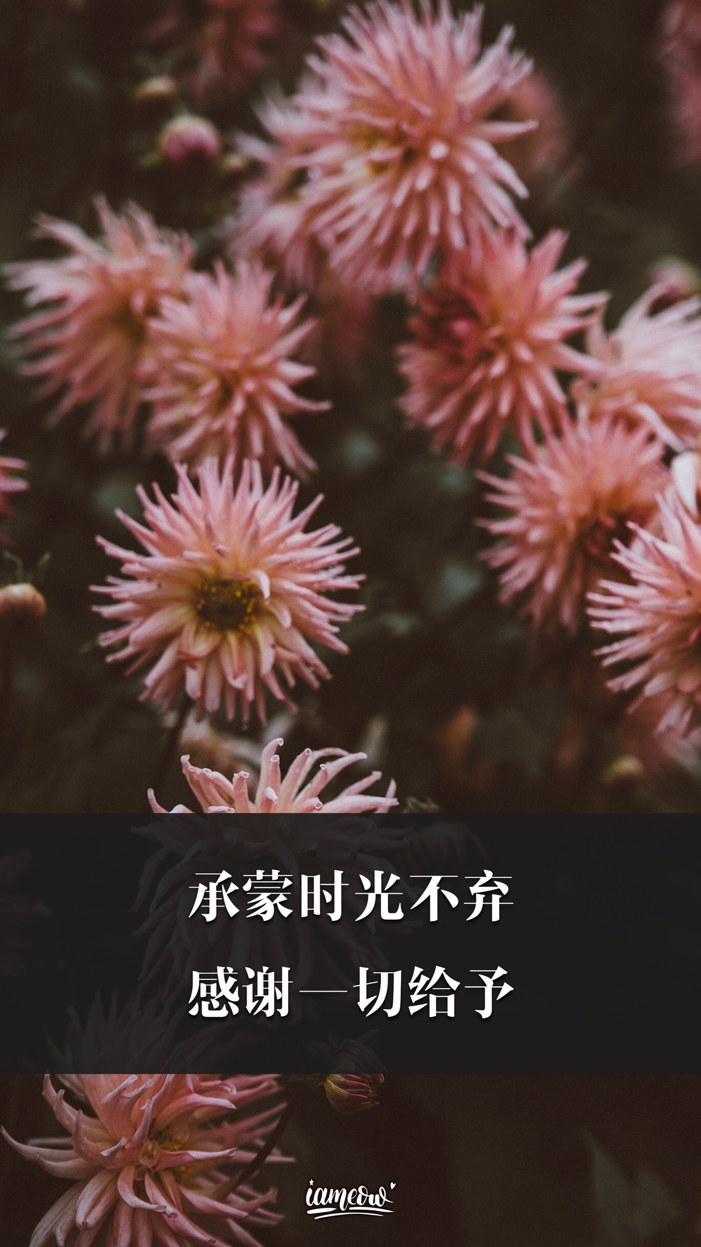 20180902233746737.jpeg